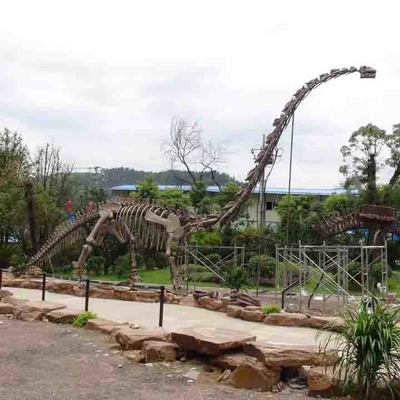 Esqueleto de dinossauro grande ao ar livre, modelo de esqueleto de dinossauro à prova de sol