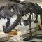 Réplica de esqueleto de dinossauro para ambiente interno, idade jovem, 12 meses, garantia
